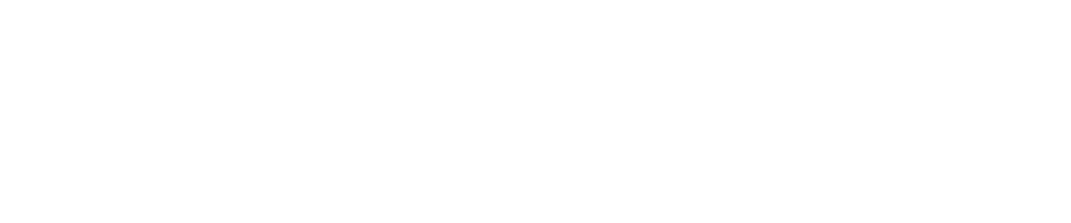 Visilay