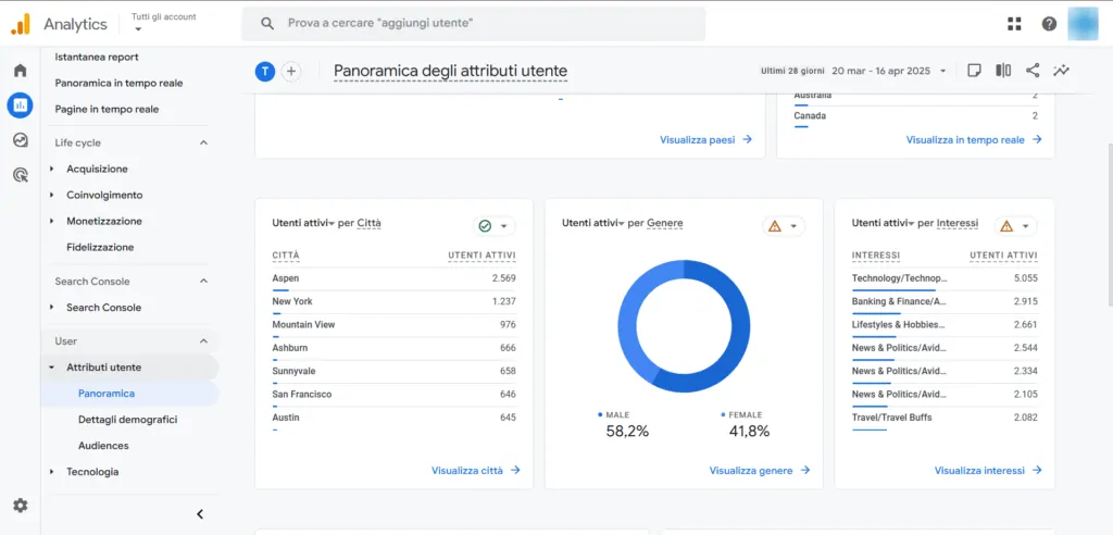 Google Analytics user overview with demographic information