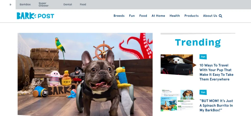 BarkPost blog home page example